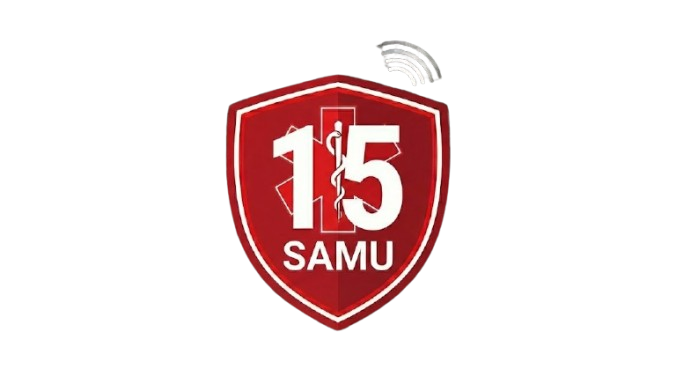 15 Borne GSM urgence